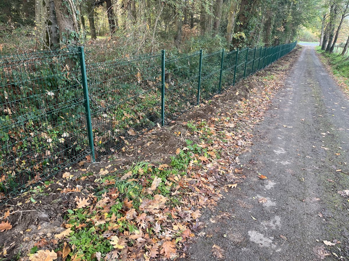 Cloture rigide a panneaux verts installee le long d'un chemin en lisiere de foret