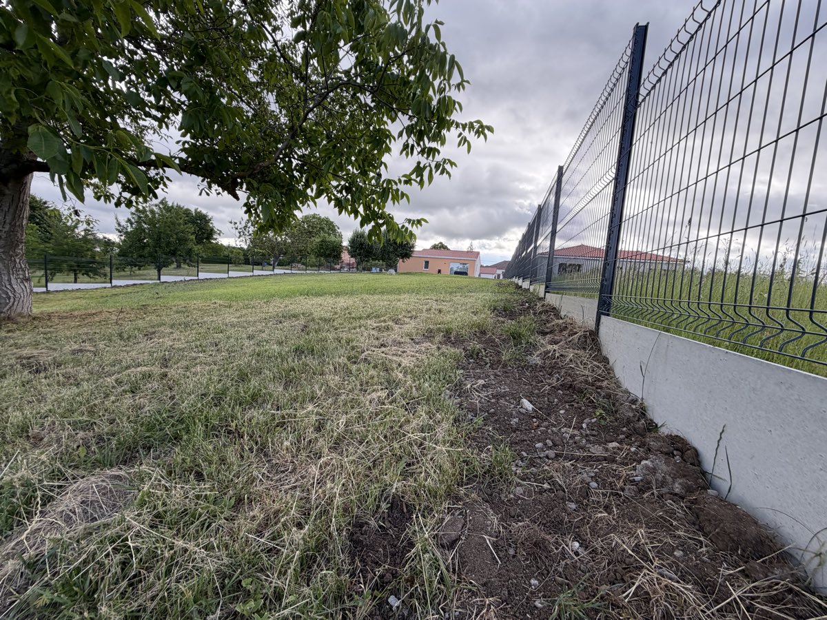 Cloture rigide a panneaux soudes pliees en partie haute, posee sur un muret beton le long d'un terrain enherbe, montants anthracite